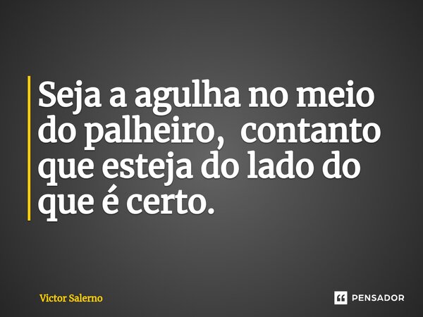 ⁠Seja a agulha no meio do palheiro, contanto que esteja do lado do que é certo.... Frase de Victor Salerno.
