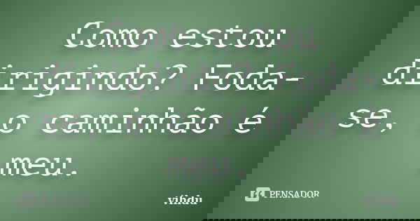 Como estou dirigindo? Foda-se, o caminhão é meu.... Frase de vihdu.