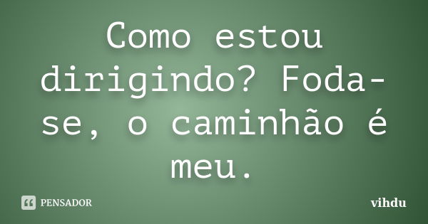 Como estou dirigindo? Foda-se, o caminhão é meu.... Frase de vihdu.