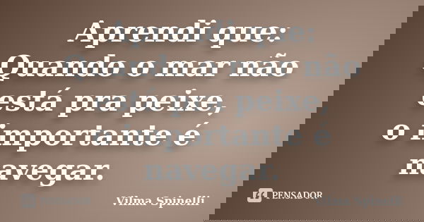 Aprendi que: Quando o mar não está pra peixe, o importante é navegar.... Frase de Vilma Spinelli.