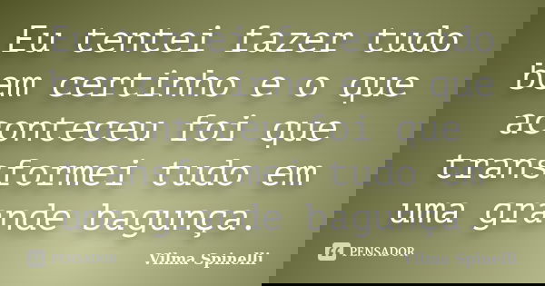 Eu tentei fazer tudo bem certinho e o que aconteceu foi que transformei tudo em uma grande bagunça.... Frase de Vilma Spinelli.