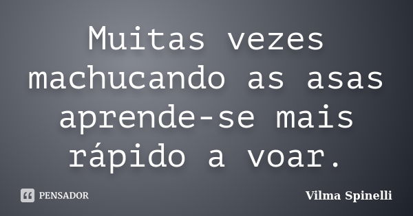 Muitas vezes machucando as asas aprende-se mais rápido a voar.... Frase de Vilma Spinelli.