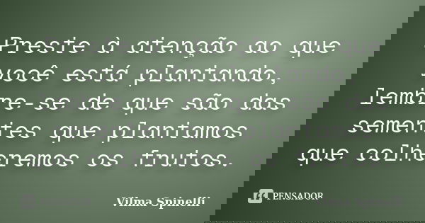 Preste à atenção ao que você está plantando, lembre-se de que são das sementes que plantamos que colheremos os frutos.... Frase de Vilma Spinelli.