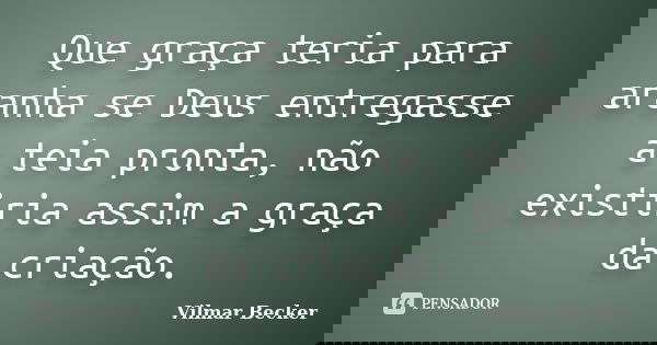 Que graça teria para aranha se Deus entregasse a teia pronta, não existiria assim a graça da criação.... Frase de Vilmar Becker.