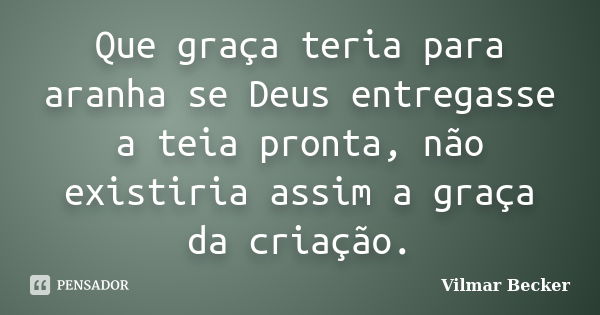 Que graça teria para aranha se Deus entregasse a teia pronta, não existiria assim a graça da criação.... Frase de Vilmar Becker.