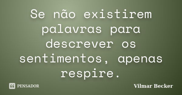 Se não existirem palavras para descrever os sentimentos, apenas respire.... Frase de Vilmar Becker.