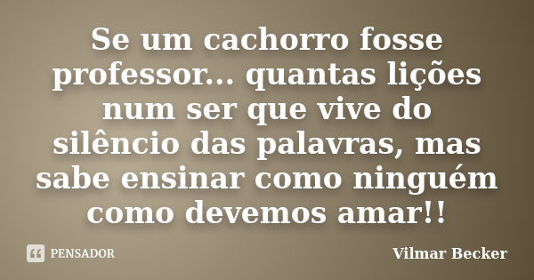 Se um cachorro fosse professor... quantas lições num ser que vive do silêncio das palavras, mas sabe ensinar como ninguém como devemos amar!!... Frase de Vilmar Becker.