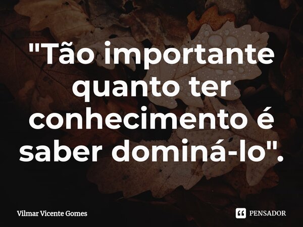 "Tão importante quanto ter conhecimento é saber dominá-lo".⁠... Frase de Vilmar Vicente Gomes.