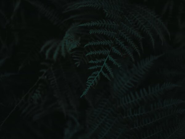 O chamado Divino não é sobre o que carregamos no bolso, mas o que carregamos no espírito. A coroa - a graça - aquela plenitude foi do agrado do Pai que N'Ele ha... Frase de vilmar_volek.