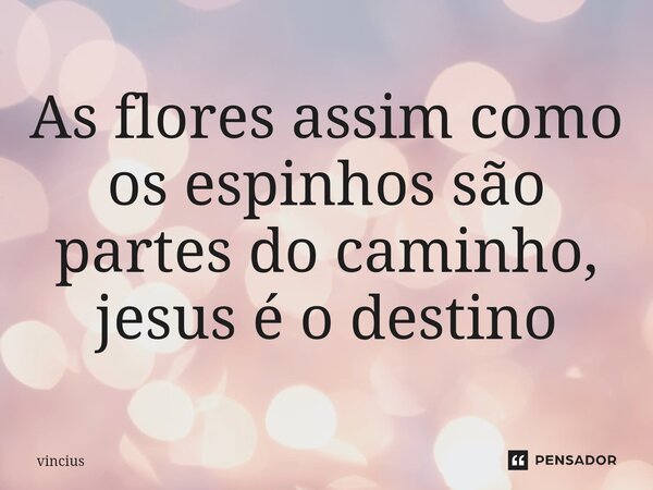 As flores assim como os espinhos são partes do caminho, jesus é o destino... Frase de Vincius.