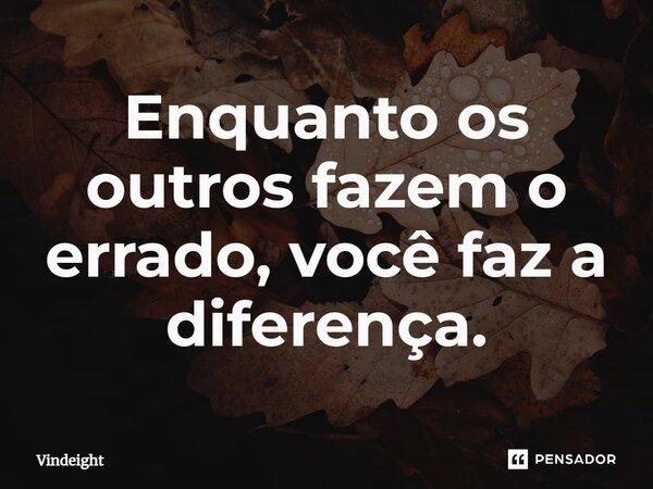 ⁠Enquanto os outros fazem o errado, você faz a diferença.... Frase de Vindeight.