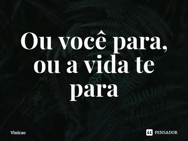 ⁠Ou você para, ou a vida te para... Frase de Vinicao.