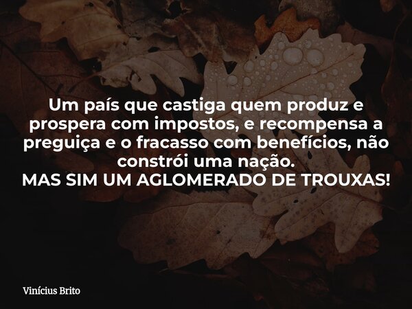 Um país que castiga quem produz e prospera com impostos, e recompensa a preguiça e o fracasso com benefícios, não constrói uma nação. MAS SIM UM AGLOMERADO DE T... Frase de Vinícius Brito.