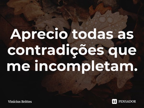 ⁠Aprecio todas as contradições que me incompletam.... Frase de Vinícius Brittes.