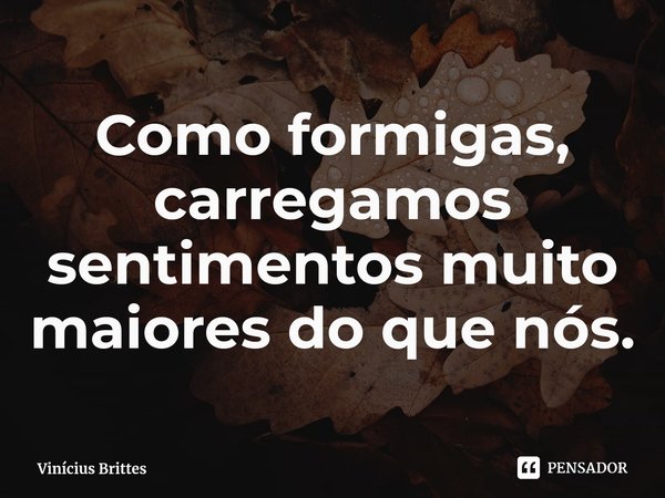 ⁠Como formigas, carregamos sentimentos muito maiores do que nós.... Frase de Vinícius Brittes.