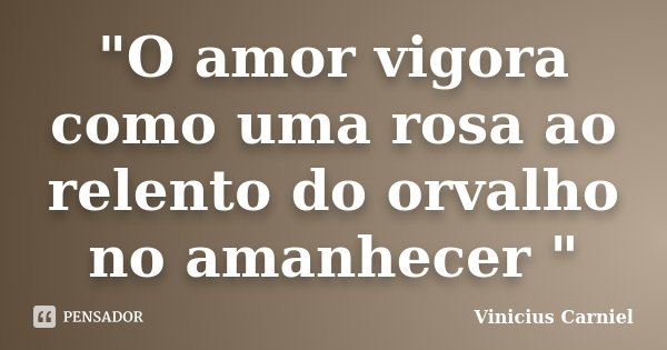 "O amor vigora como uma rosa ao relento do orvalho no amanhecer "... Frase de Vinicius Carniel.