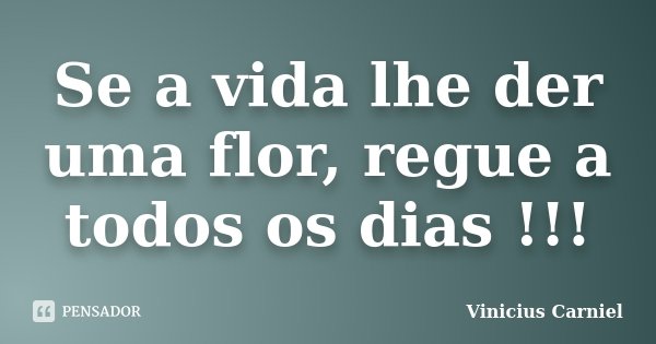 Se a vida lhe der uma flor, regue a todos os dias !!!... Frase de Vinicius Carniel.