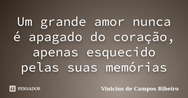 Um grande amor nunca é apagado do coração, apenas esquecido pelas suas memórias.... Frase de Vinicius de Campos Ribeiro.