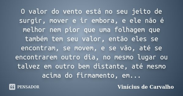 O valor do vento está no seu jeito de surgir, mover e ir embora, e ele não é melhor nem pior que uma folhagem que também tem seu valor, então eles se encontram,... Frase de Vinicius de Carvalho.