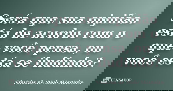 Será que sua opinião está de acordo com o que você pensa, ou você está se iludindo?... Frase de Vinícius de Melo Monteiro.