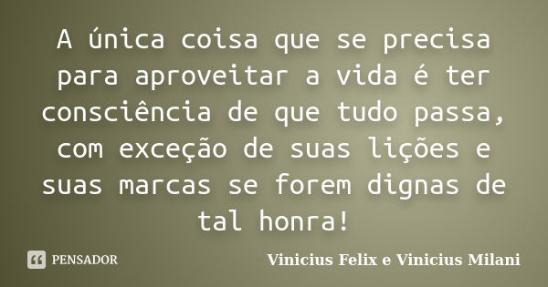 A única coisa que se precisa para aproveitar a vida é ter consciência de que tudo passa, com exceção de suas lições e suas marcas se forem dignas de tal honra!... Frase de Vinicius Felix e Vinicius Milani.