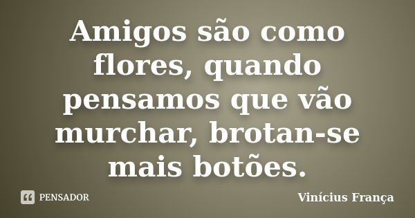 Amigos são como flores, quando pensamos que vão murchar, brotan-se mais botões.... Frase de Vinícius França.