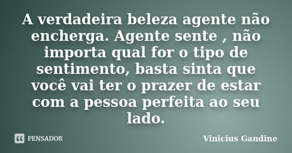 A verdadeira beleza agente não encherga. Agente sente , não importa qual for o tipo de sentimento, basta sinta que você vai ter o prazer de estar com a pessoa p... Frase de Vinicius Gandine.