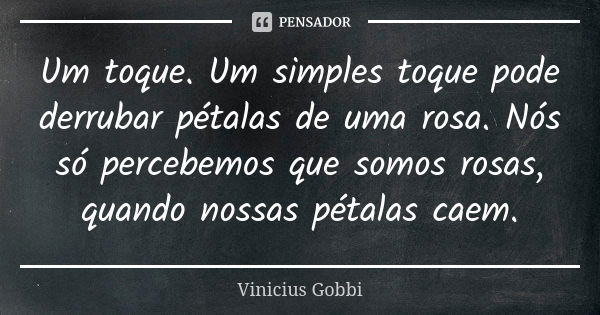 Um toque. Um simples toque pode derrubar pétalas de uma rosa. Nós só percebemos que somos rosas, quando nossas pétalas caem.... Frase de Vinicius Gobbi.