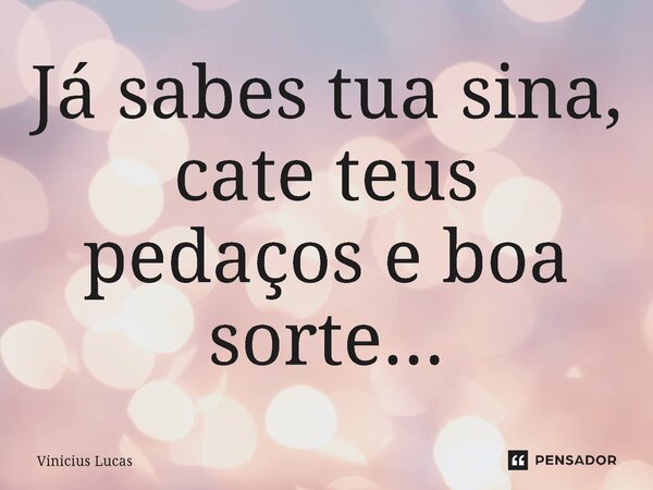 ⁠Já sabes tua sina, cate teus pedaços e boa sorte...... Frase de Vinícius Lucas.