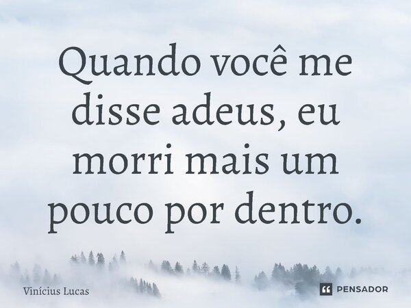 ⁠Quando você me disse adeus, eu morri mais um pouco por dentro.... Frase de Vinícius Lucas.