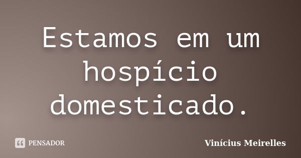 Estamos em um hospício domesticado.... Frase de Vinícius Meirelles.