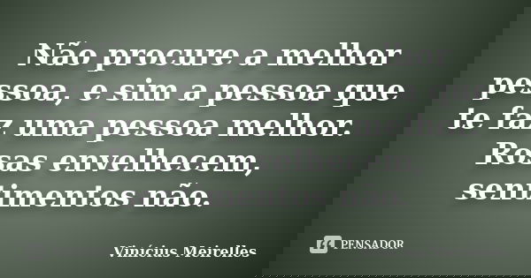 Não procure a melhor pessoa, e sim a pessoa que te faz uma pessoa melhor. Rosas envelhecem, sentimentos não.... Frase de Vinícius Meirelles.