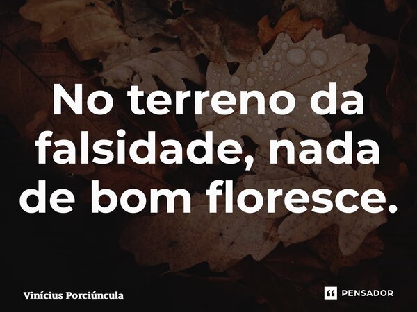⁠No terreno da falsidade, nada de bom floresce.... Frase de Vinícius Porciúncula.