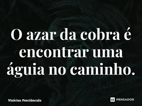 ⁠O azar da cobra é encontrar uma águia no caminho.... Frase de Vinícius Porciúncula.