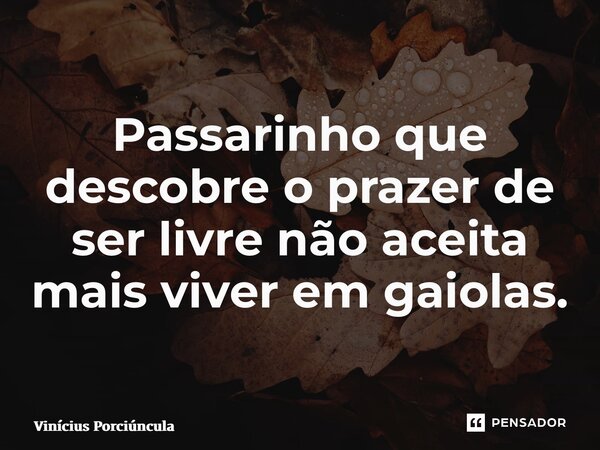 ⁠Passarinho que descobre o prazer de ser livre não aceita mais viver em gaiolas.... Frase de Vinícius Porciúncula.