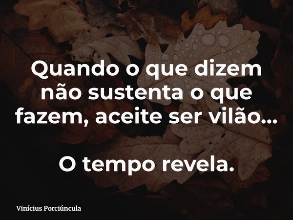 Quando o que dizem não sustenta o que fazem,aceite ser vilão… O tempo revela.... Frase de Vinícius Porciúncula.