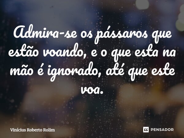 ⁠Admira-se os pássaros que estão voando, e o que esta na mão é ignorado, até que este voa.... Frase de Vinícius Roberto Rolim.