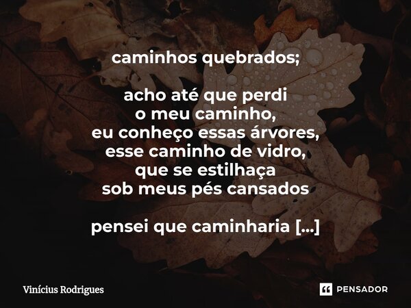 caminhos quebrados; ⁠acho até que perdi o meu caminho, eu conheço essas árvores, esse caminho de vidro, que se estilhaça sob meus pés cansados pensei que caminh... Frase de Vinicius Rodrigues.