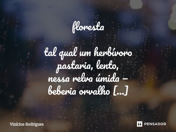 floresta tal qual um herbívoro pastaria, lento, nessa relva úmida — beberia orvalho (um doce noturno) até que a floresta toda se desmanchasse em chuva. (e eu, ... Frase de Vinicius Rodrigues.