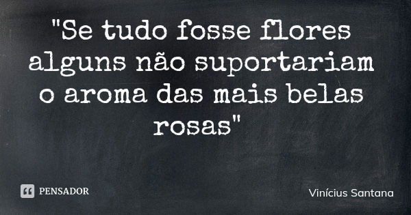"Se tudo fosse flores alguns não suportariam o aroma das mais belas rosas"... Frase de Vinícius Santana.