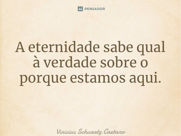 A eternidade sabe qual à verdade sobre o porque estamos aqui. ⁠... Frase de Vinicius Schuartz Caetano.