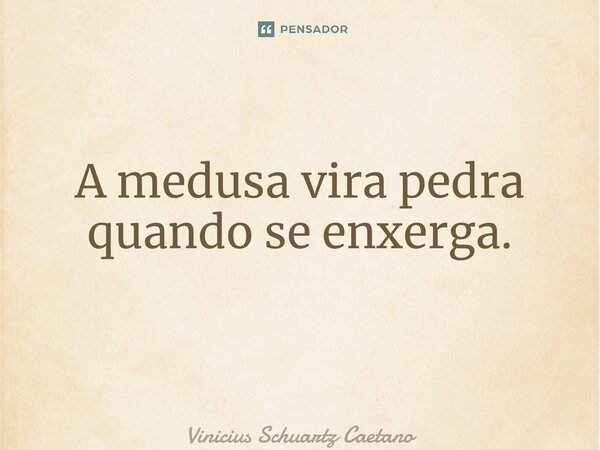 A medusa vira pedra quando se enxerga. ⁠... Frase de Vinicius Schuartz Caetano.