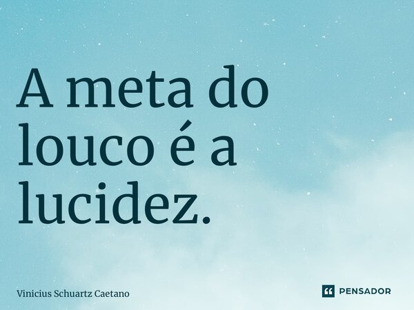 ⁠A meta do louco é a lucidez.... Frase de Vinicius Schuartz Caetano.