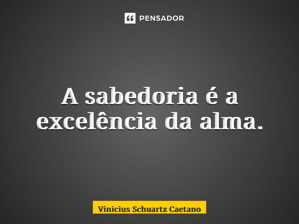 ⁠A sabedoria é a excelência da alma.... Frase de Vinicius Schuartz Caetano.