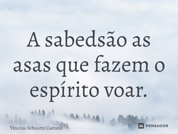 ⁠A sabedoria são as asas que fazem o espírito voar.... Frase de Vinicius Schuartz Caetano.