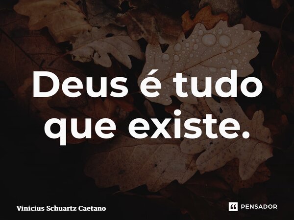 Deus é tudo que existe.... Frase de Vinicius Schuartz Caetano.