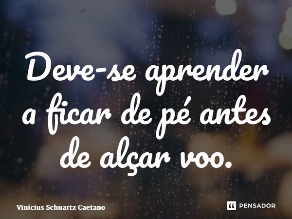 ⁠Deve-se aprender a ficar de pé antes de alçar voo.... Frase de Vinicius Schuartz Caetano.