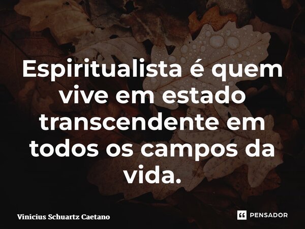 Espiritualista é quem vive em estado transcendente em todos os campos da vida.... Frase de Vinicius Schuartz Caetano.