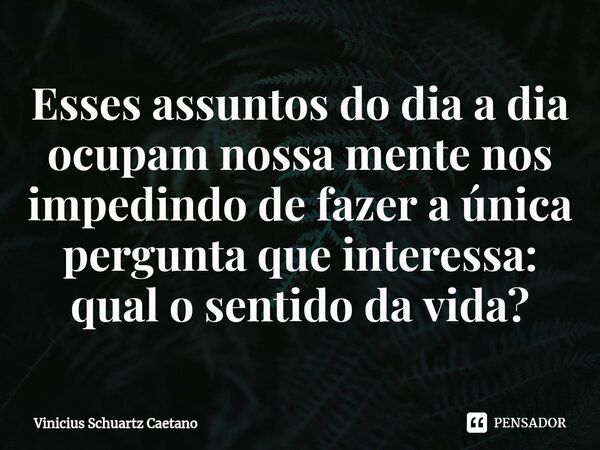 ⁠Esses assuntos do dia a dia ocupam nossa mente nos impedindo de fazer a única pergunta que interessa: qual o sentido da vida?... Frase de Vinicius Schuartz Caetano.