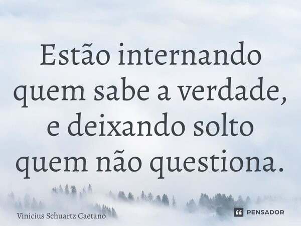 ⁠Estão internando quem sabe a verdade, e deixando solto quem não questiona.... Frase de Vinicius Schuartz Caetano.